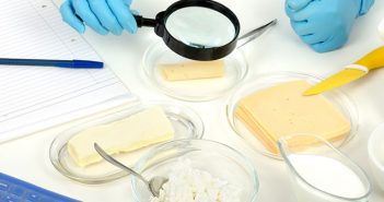 I cibi fermentati sotto la lente