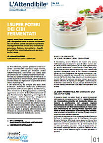 Numero 62 CIBI FERMENTATI