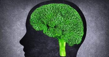 I cibi amici del cervello