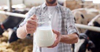 La dieta per dire addio alla pancia: latticini, nelle giuste quantità, tutti i giorni