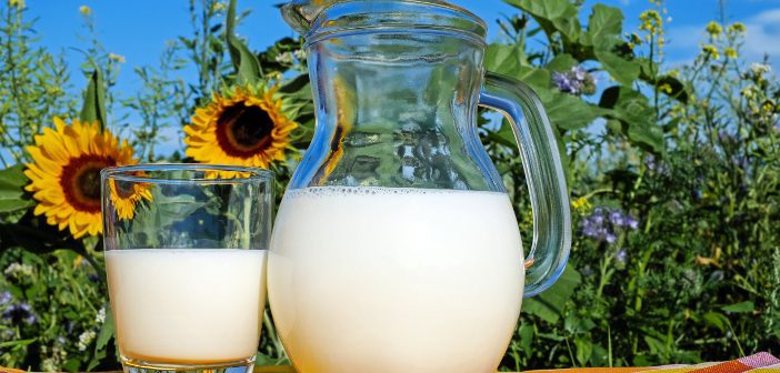 Latte dopo l’allenamento? Ideale per la perdita di peso