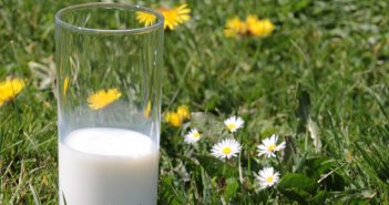 Proteine e massa muscolare: latte promosso