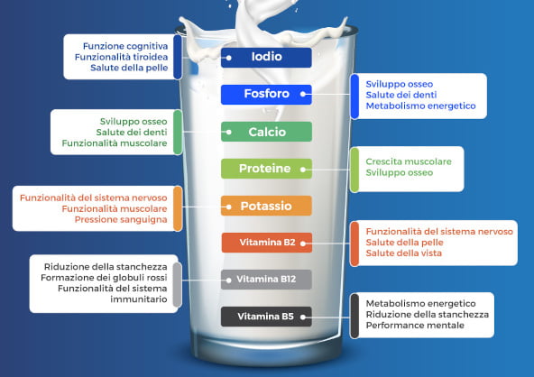 Infografica i vantaggi dei nutrienti del latte Infografica i vantaggi dei nutrienti del latte