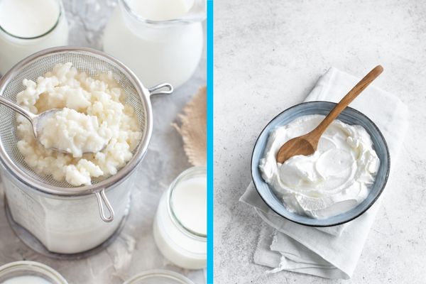 Kefir e yogurt colato