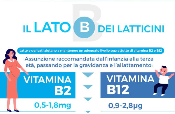 Infografica vitamine B2 e B12 del latte