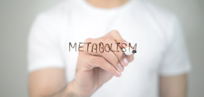 metabolismo