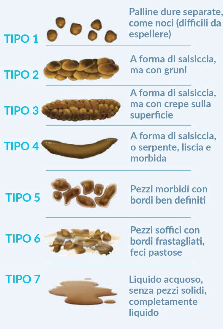IMG CACCA